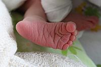 IMG_0536.JPG