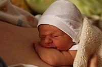 IMG_0542.JPG