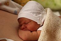 IMG_0547.JPG