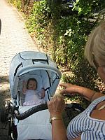 IMG 1639