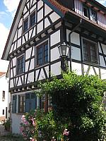 IMG 1654