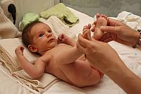 IMG 0852