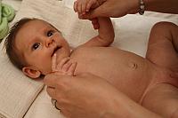 IMG 0868