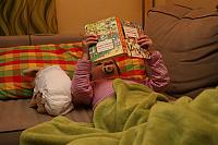 IMG 7262