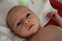 IMG 7293
