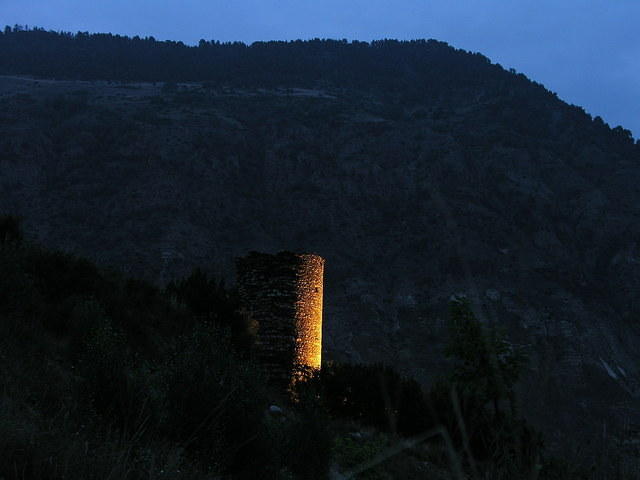 p8161065