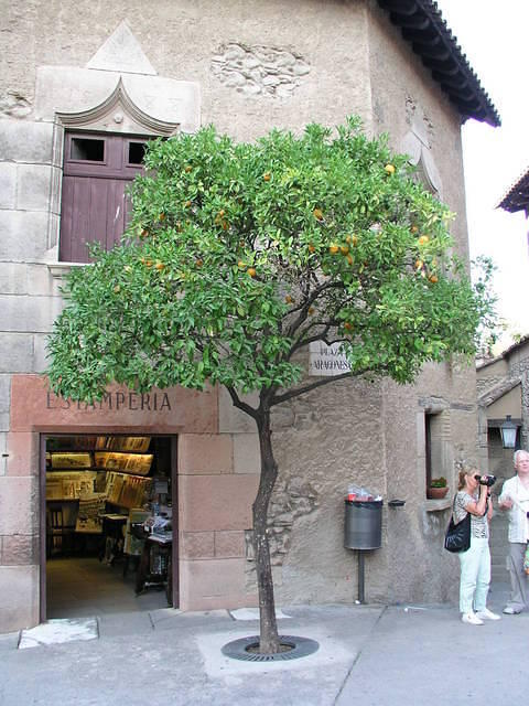 p8100940