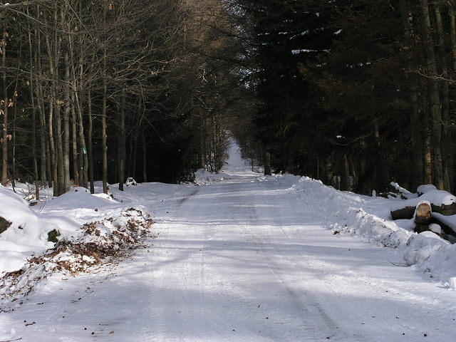 p1010394