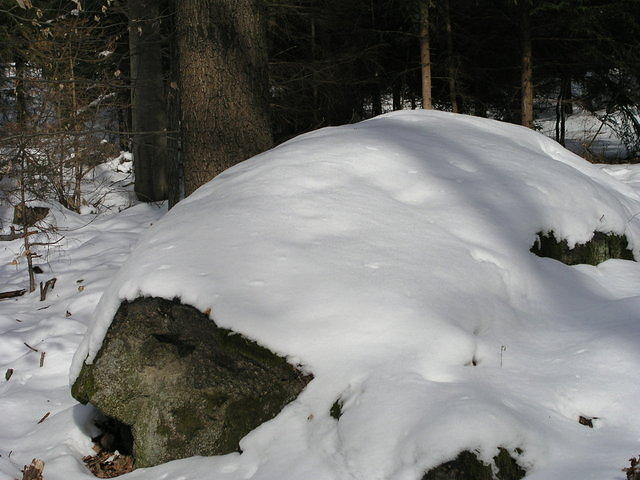 p1010395