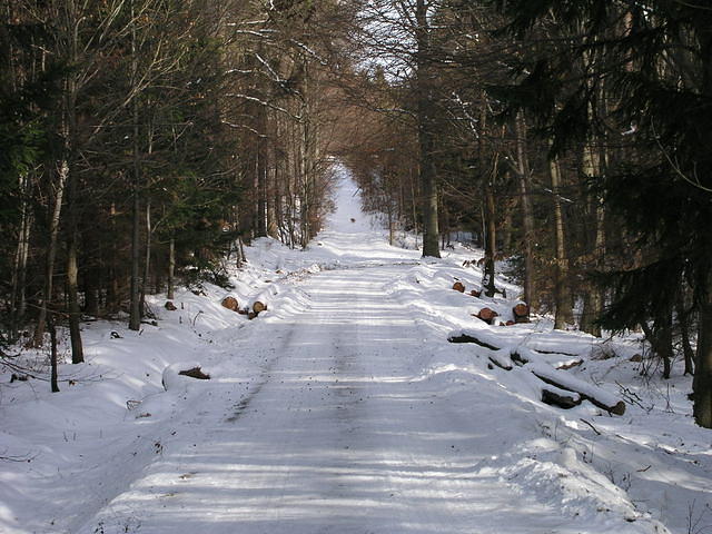 p1010397