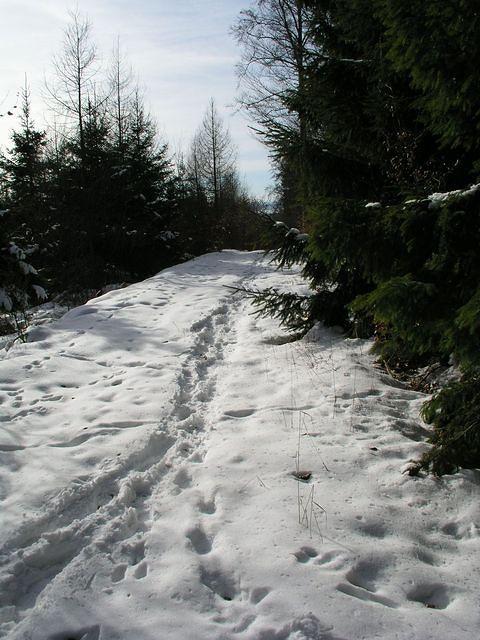 p1010398