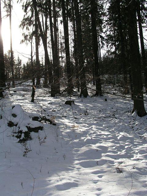 p1010400