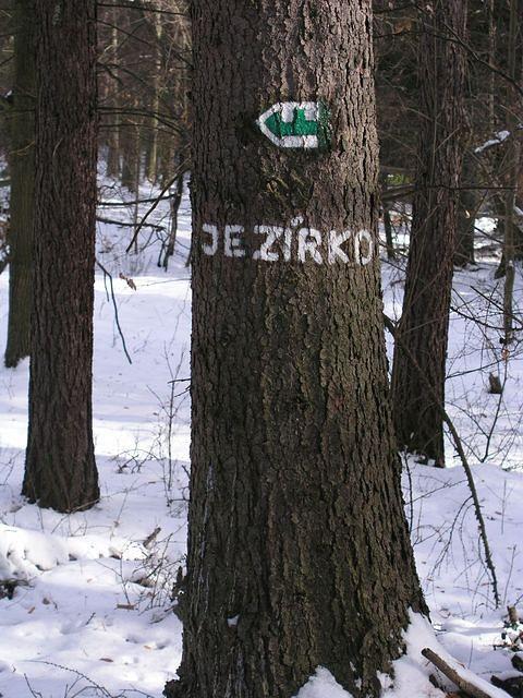 p1010401