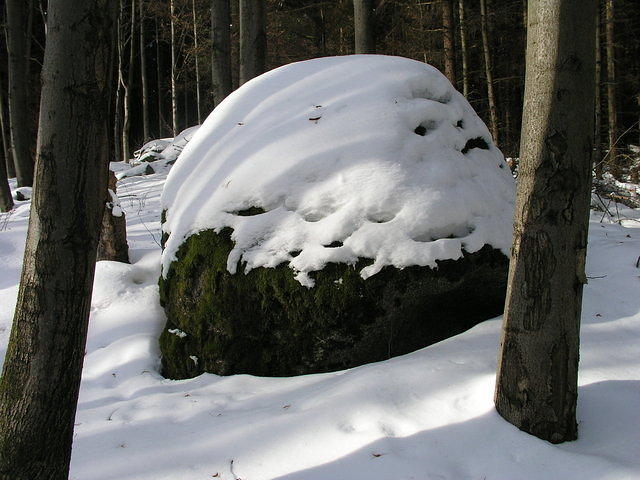 p1010403