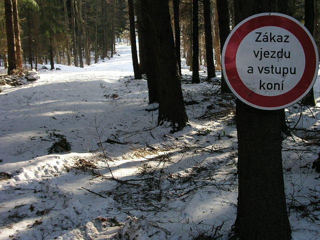 p1010412