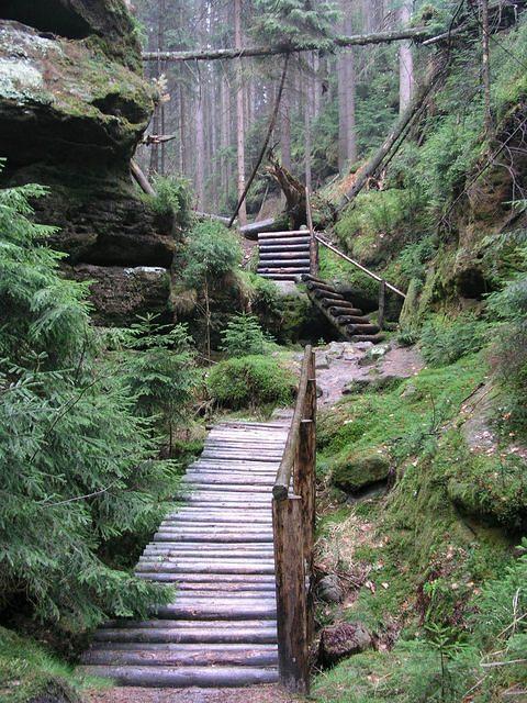 p1010023