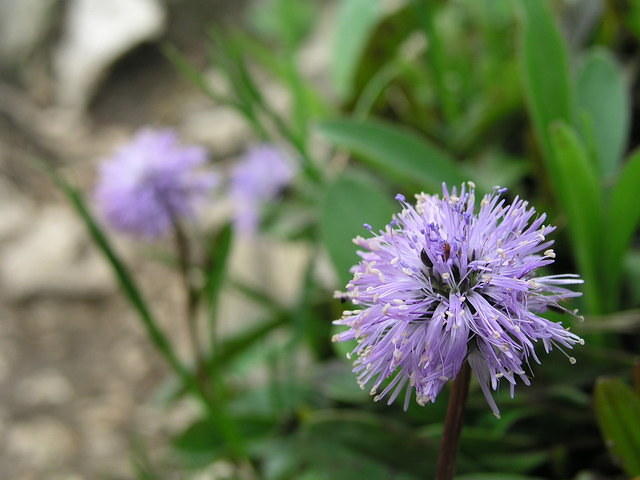 p1010028