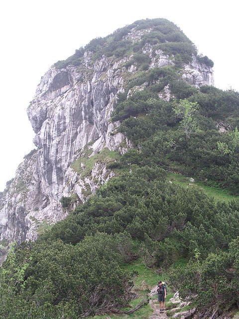 p1010039
