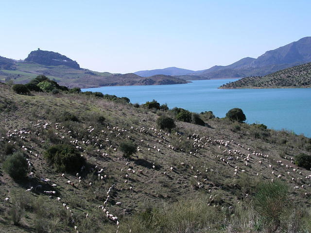 p1010033
