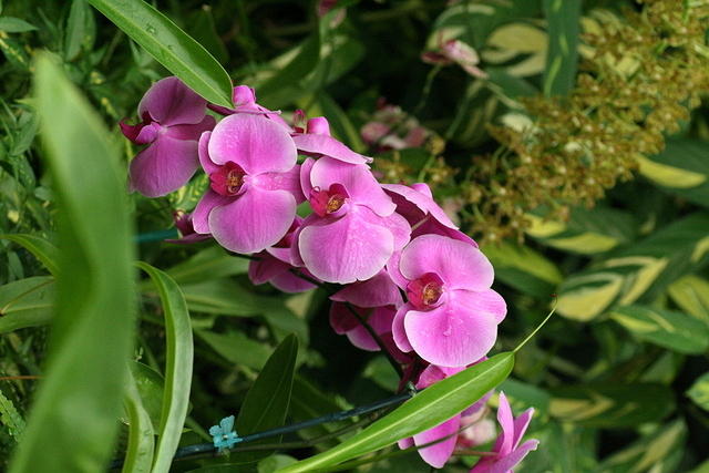 img_8903.jpg