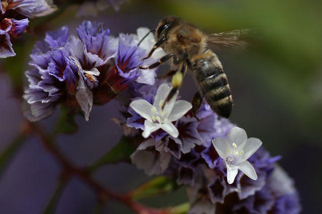 img_9497.jpg