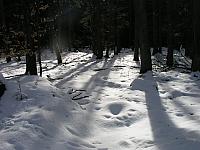 p1010393