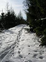 p1010398