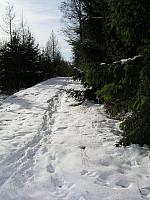 p1010399