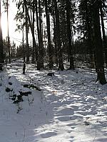 p1010400
