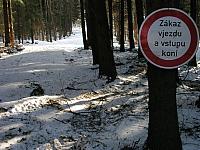p1010412