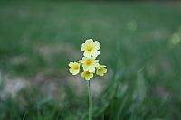 img_0336