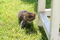 img_1701