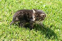 img_1711