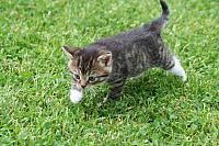 img_1745