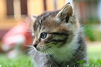 img_1748