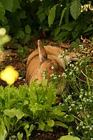 img_4897