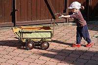 IMG_0184.JPG